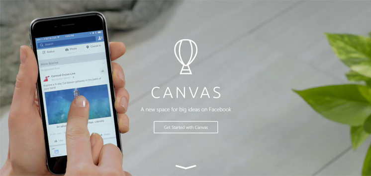 facebook_canvas_website2